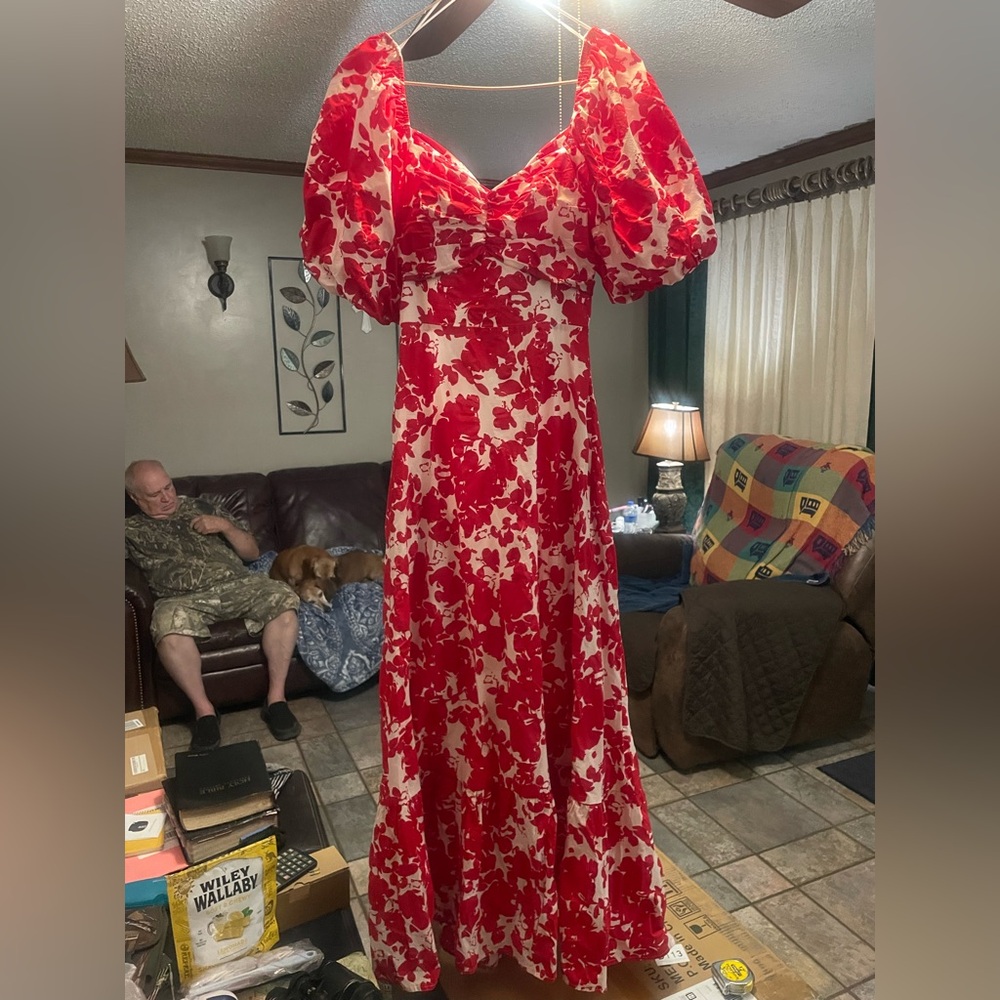 Free the Roses Red and White Floral Maxi Dress